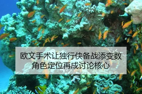 欧文手术让独行侠备战添变数 角色定位再成讨论核心